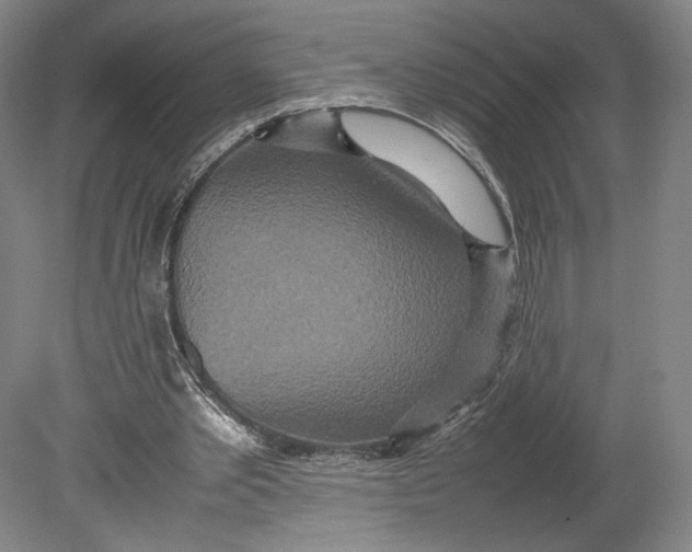 X0000080680389200701051040