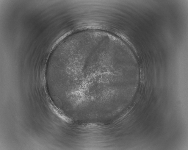 X0000080680390200701051040