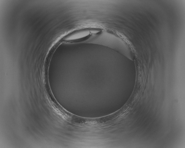 X0000080680391200701051040