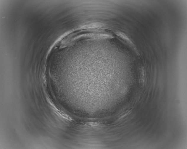 X0000080680392200701051040