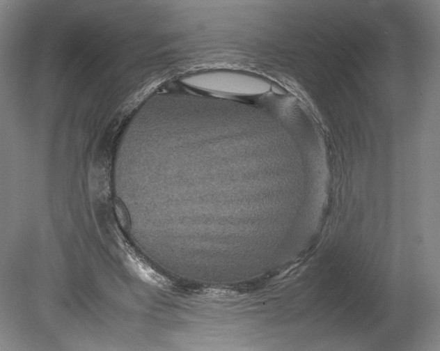 X0000080680393200701051040