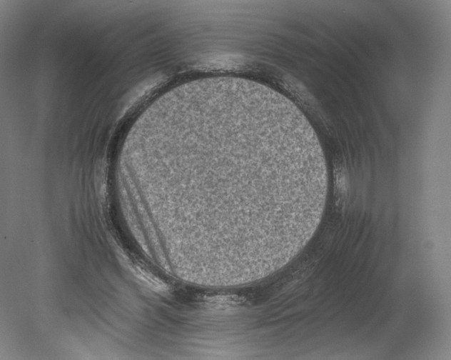 X0000080680396200701051039