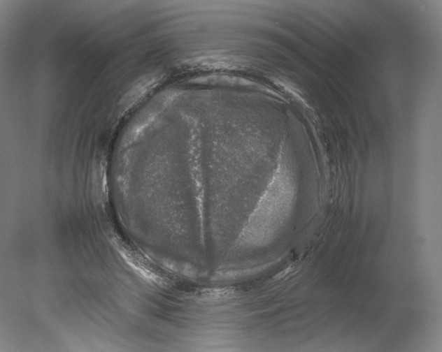 X0000080680398200701051039