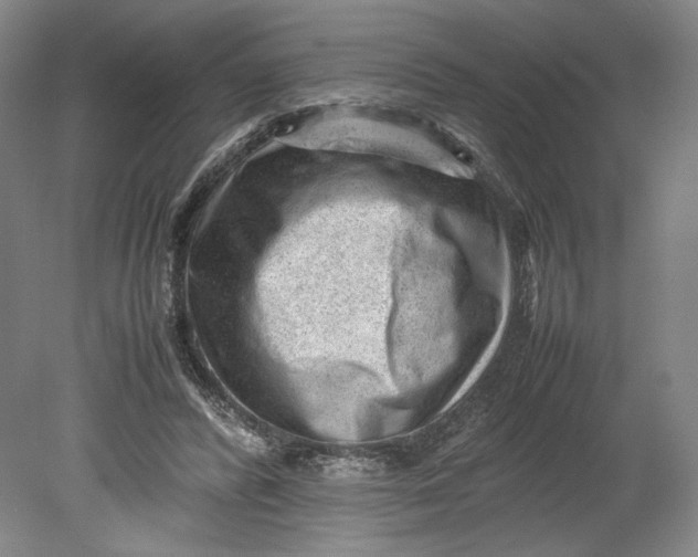 X0000080680400200701051039