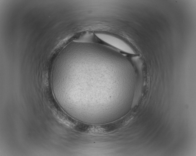 X0000080680403200701051039