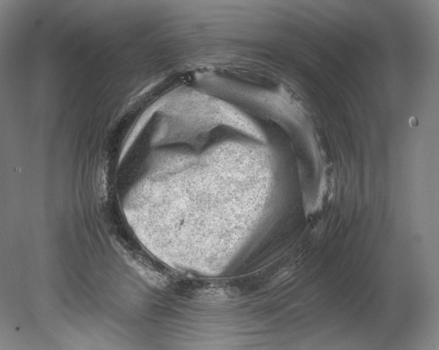 X0000080680404200701051039