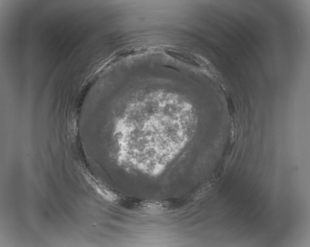 X0000080680405200701051039