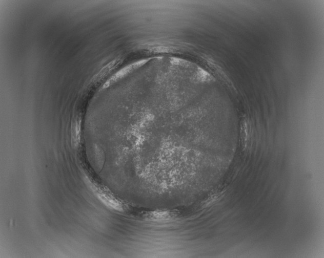 X0000080680406200701051039