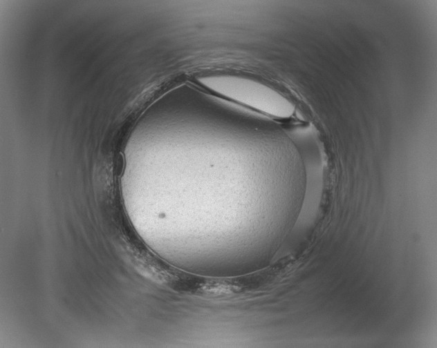 X0000080680407200701051039