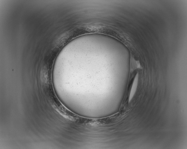 X0000080680408200701051039