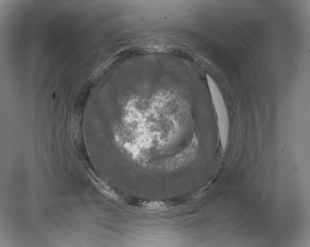 X0000080680409200701051039