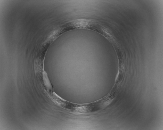 X0000080680411200701051039