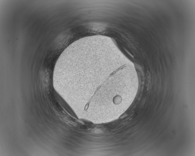 X0000080680412200701051039