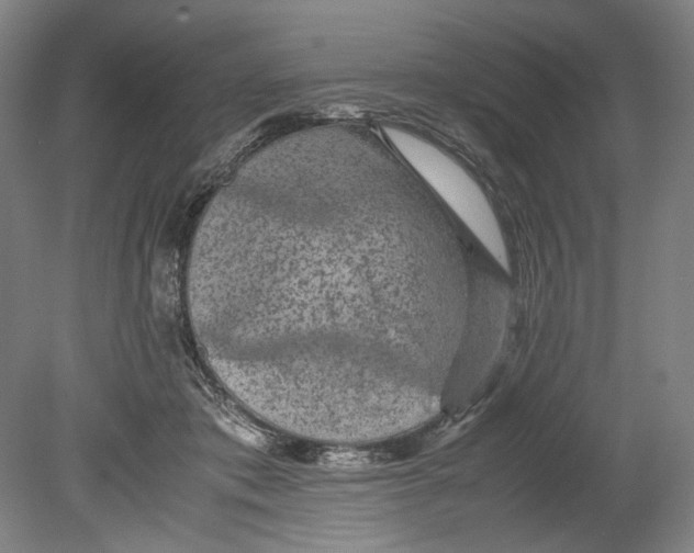 X0000080680413200701051039