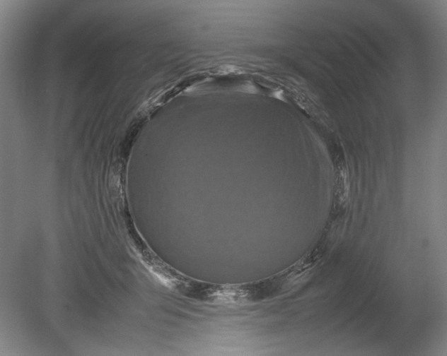 X0000080680415200701051039