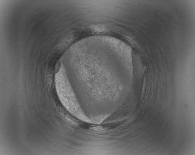 X0000080680417200701051039