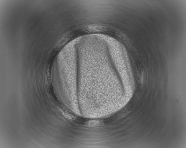 X0000080680418200701051039