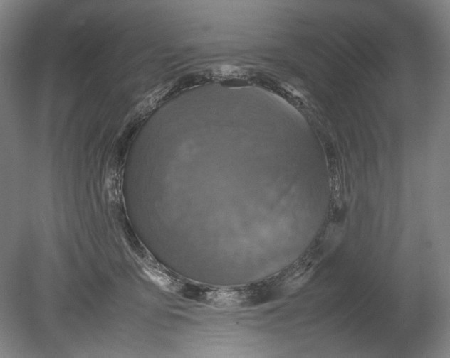 X0000080680419200701051039