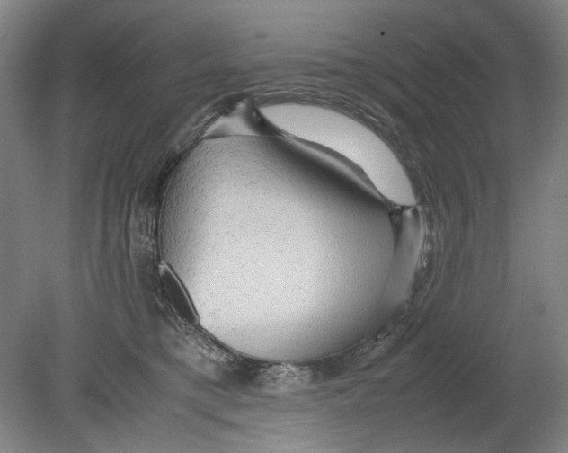 X0000080680421200701051039