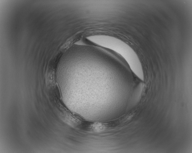 X0000080680425200701051039