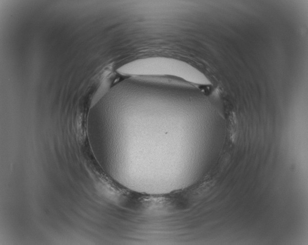 X0000080680428200701051039