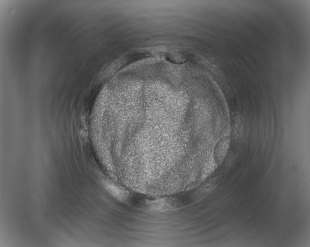 X0000080680430200701051039