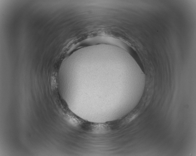 X0000080680432200701051039