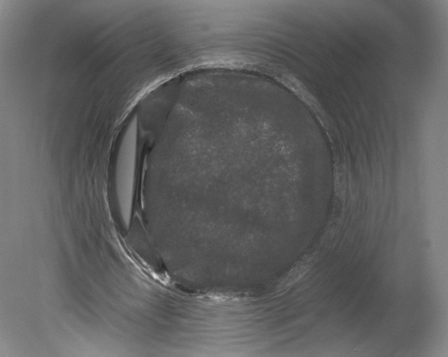 X0000080680434200701051038