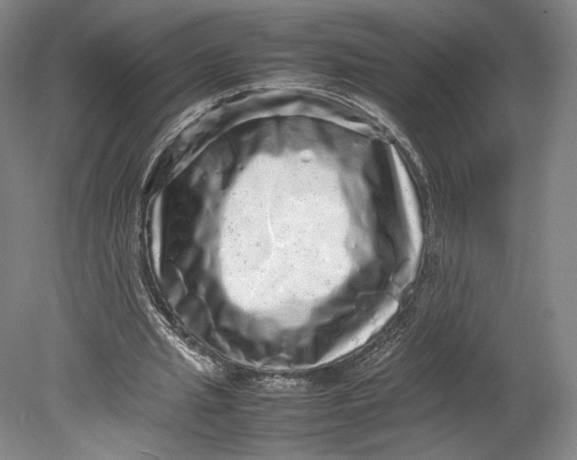 X0000080680437200701051038