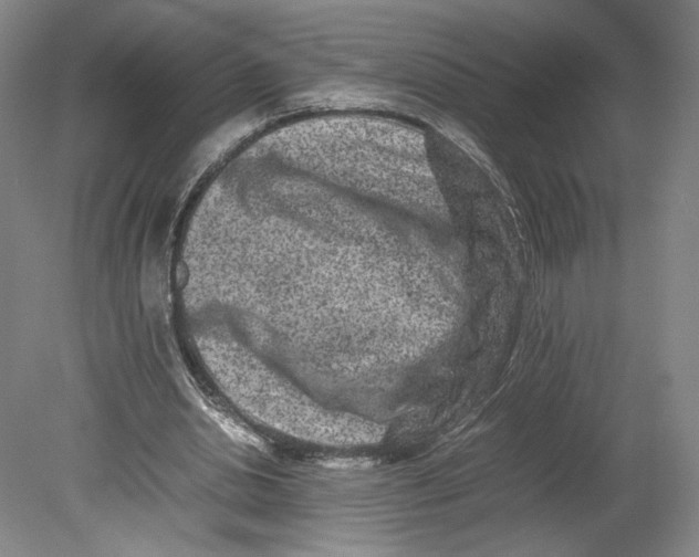 X0000080680438200701051038