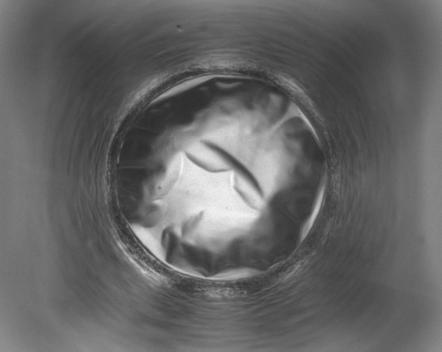 X0000080680439200701051038