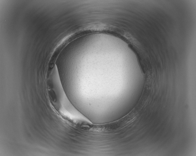 X0000080680440200701051038