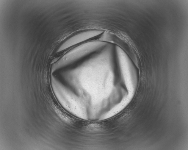 X0000080680441200701051038