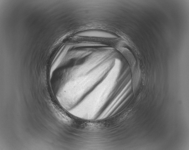 X0000080680442200701051038