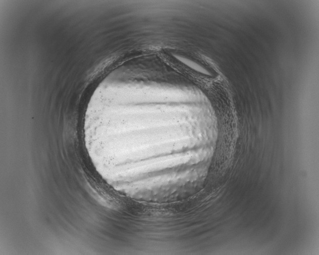 X0000080680443200701051038