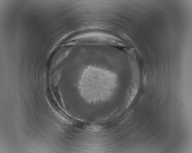 X0000080680444200701051038