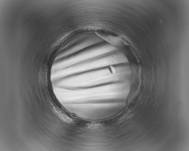 X0000080680446200701051038