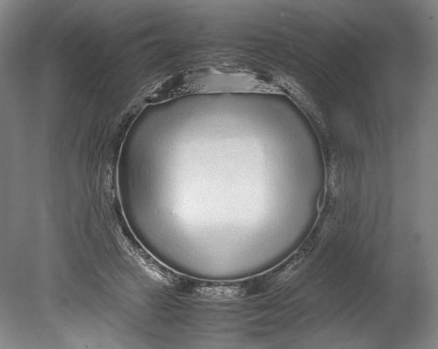 X0000080680449200701051038