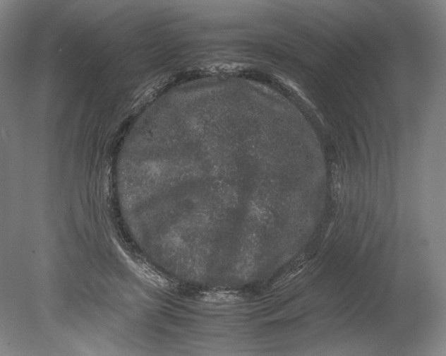 X0000080680451200701051038