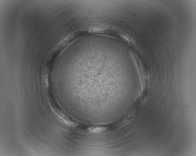 X0000080680452200701051038