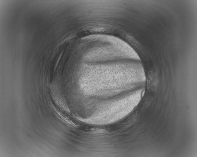 X0000080680454200701051038