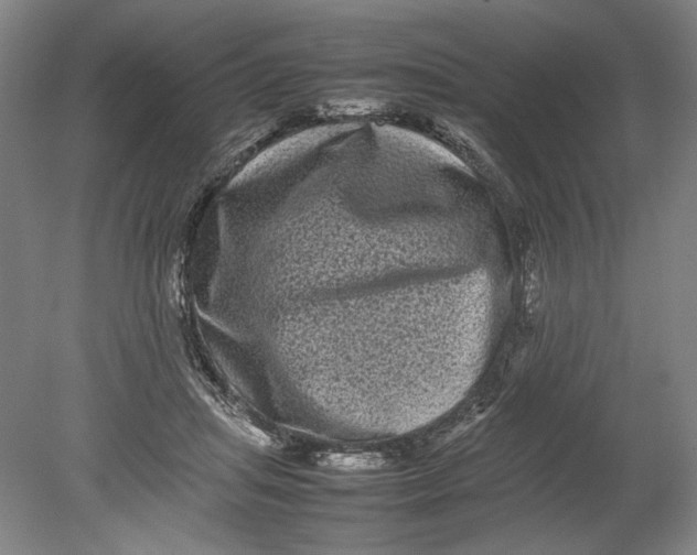 X0000080680455200701051038