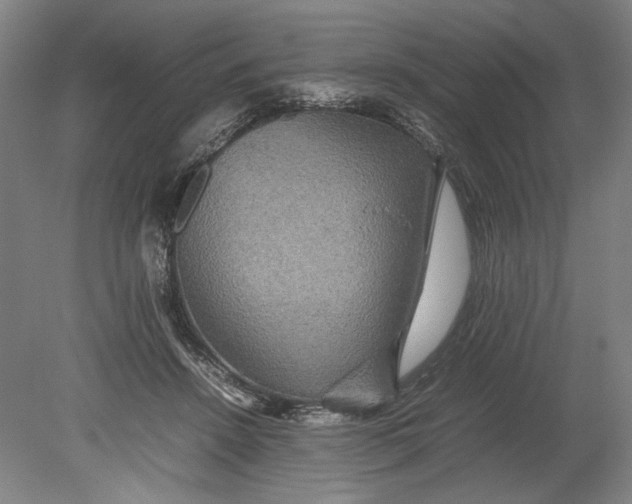 X0000080680456200701051038