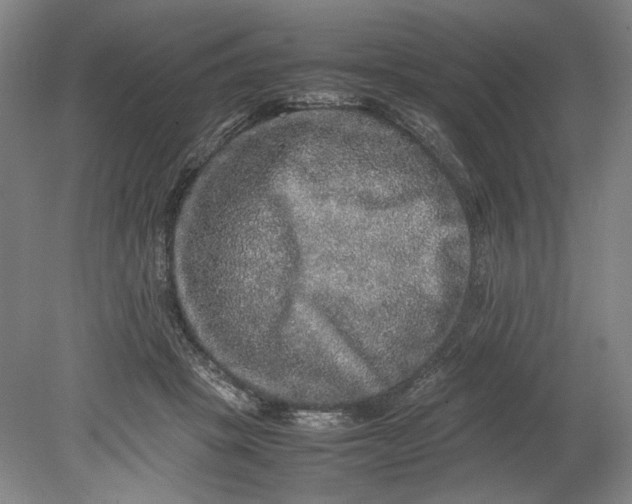 X0000080680457200701051038