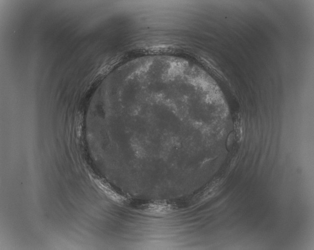 X0000080680458200701051038