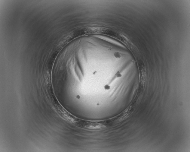 X0000080680459200701051038