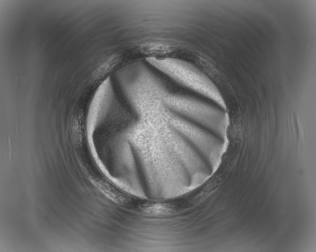 X0000080680460200701051038