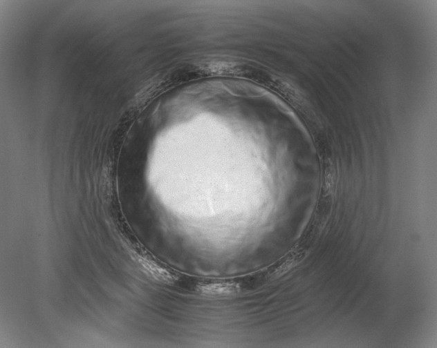 X0000080680461200701051039