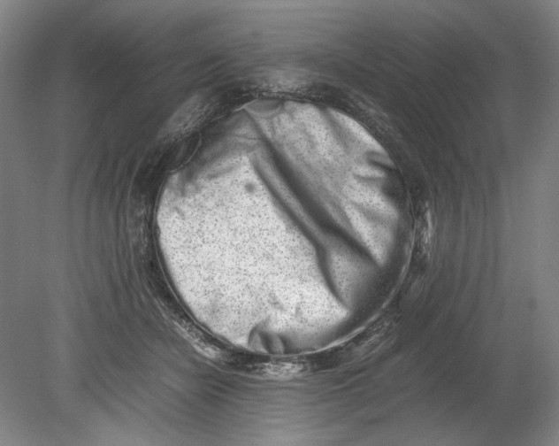 X0000080680462200701051039