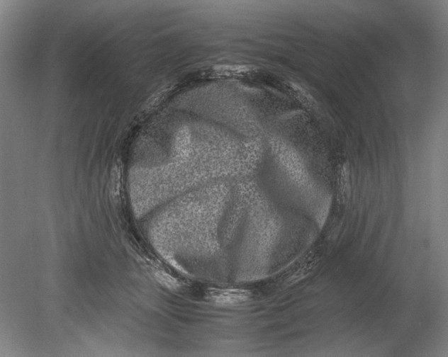 X0000080680463200701051039